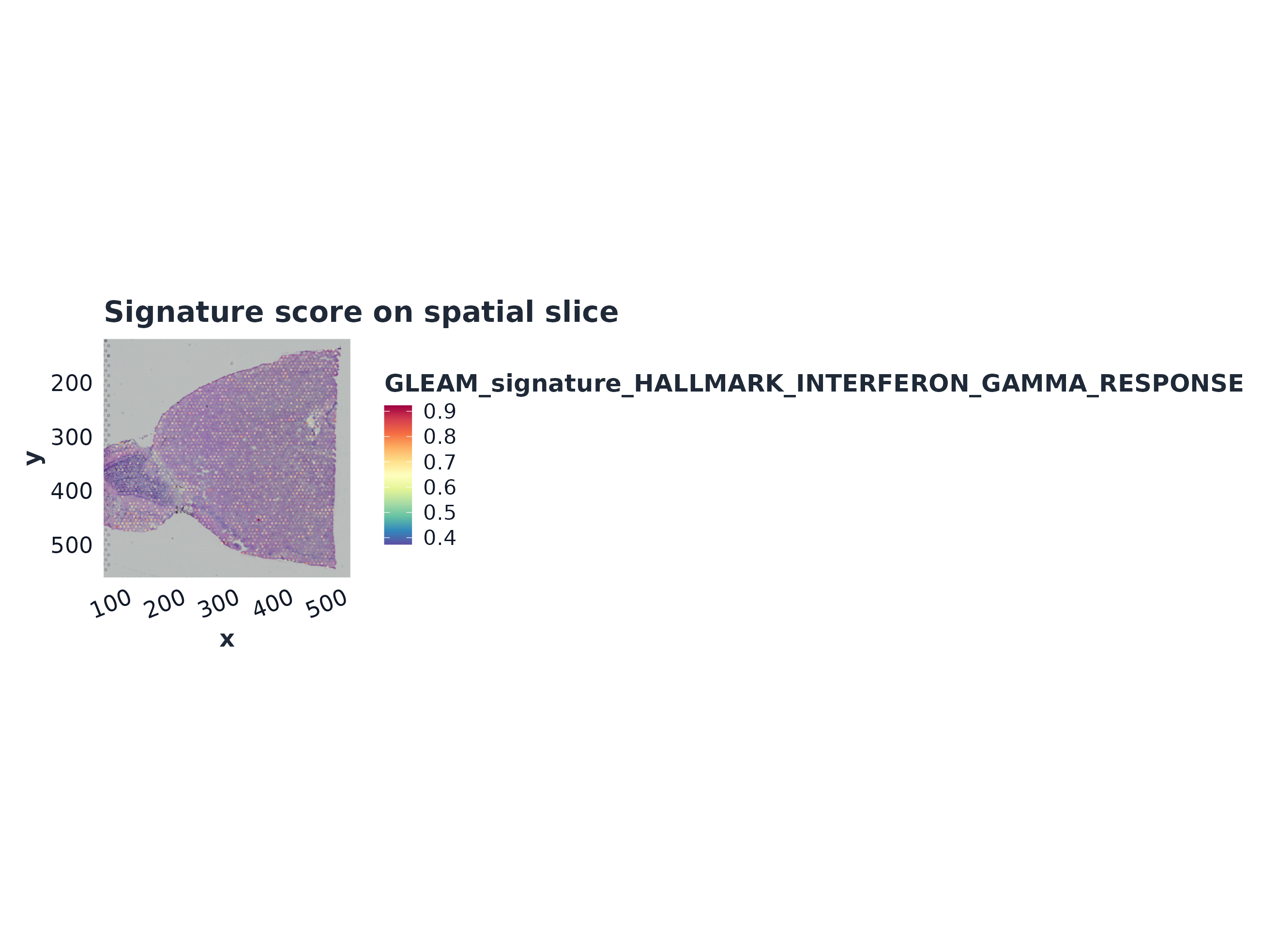 Spatial slice-style signature score map
